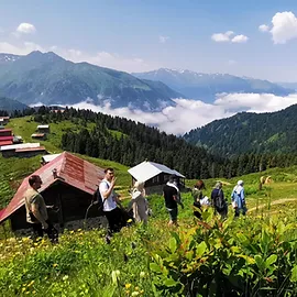 Karadeniz Yaylaları